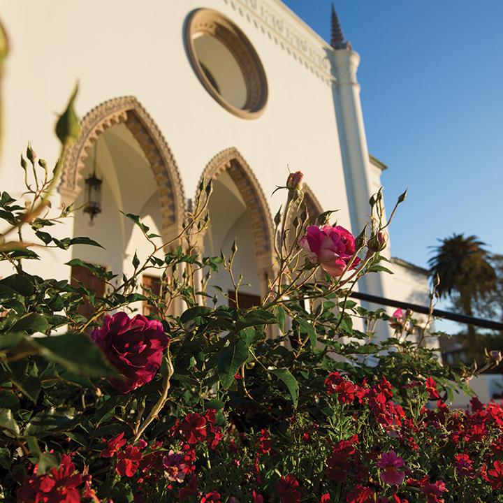 Roses in front of LMU's Sacred Heart Chapel