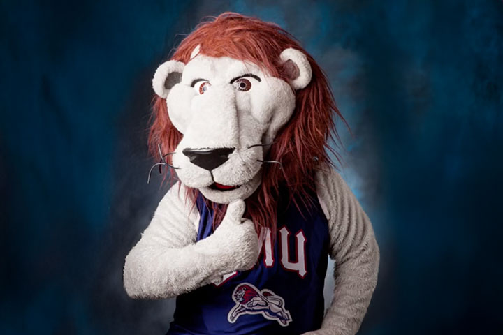 A photo of Iggy in front of a photography studio backdrop giving the thumbs up