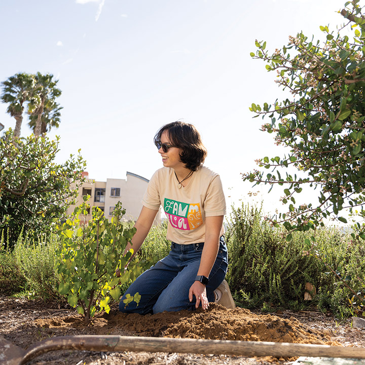 LMU Student plants bushes on the Bluff