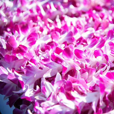 rows of purple leis on a table